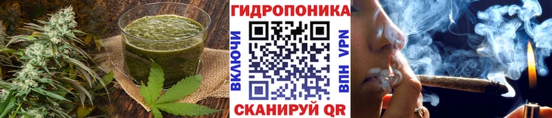 это наркотические препараты  где можно купить   Руза  Еда ТГК конопля 