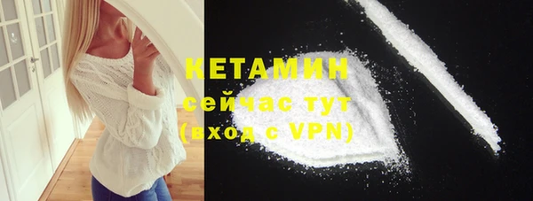 гашик Пересвет