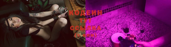 ГАЛЛЮЦИНОГЕННЫЕ ГРИБЫ Балабаново