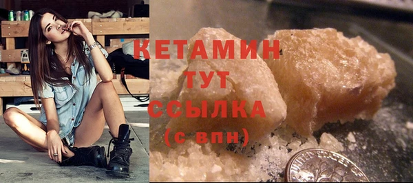 гашик Пересвет